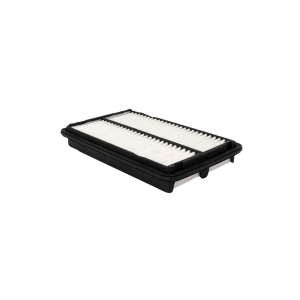 Air filter for Honda Accord in Zip Filter