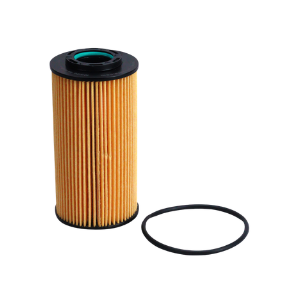 Oil Filter For Hyundai Verna CRDI in Zip Filter