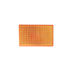Air Filter for Hyundai Santro Xing