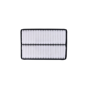 Air Filter for Hyundai Santro Xing ERLX