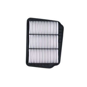 Optra Air filter in Zip Filter