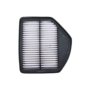 Air filter for Honda Amaze 2018 in Zip Filter