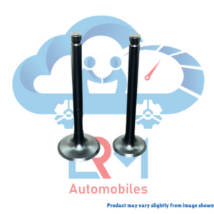 Texspin Engine Valve for Hero Passion